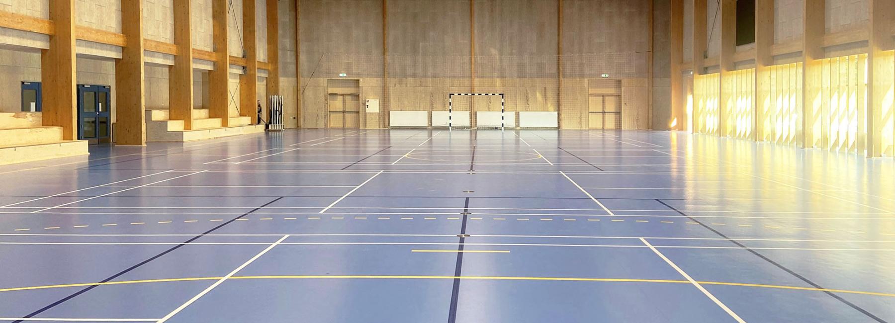 Det blå gymnasium