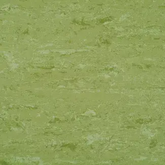 Avocado Green - scanmobile