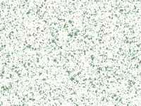 PREMIUM - 4207 NEOTERRA Prato