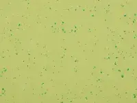 Mipolam Planet 5427 Green Zest - Colour scann